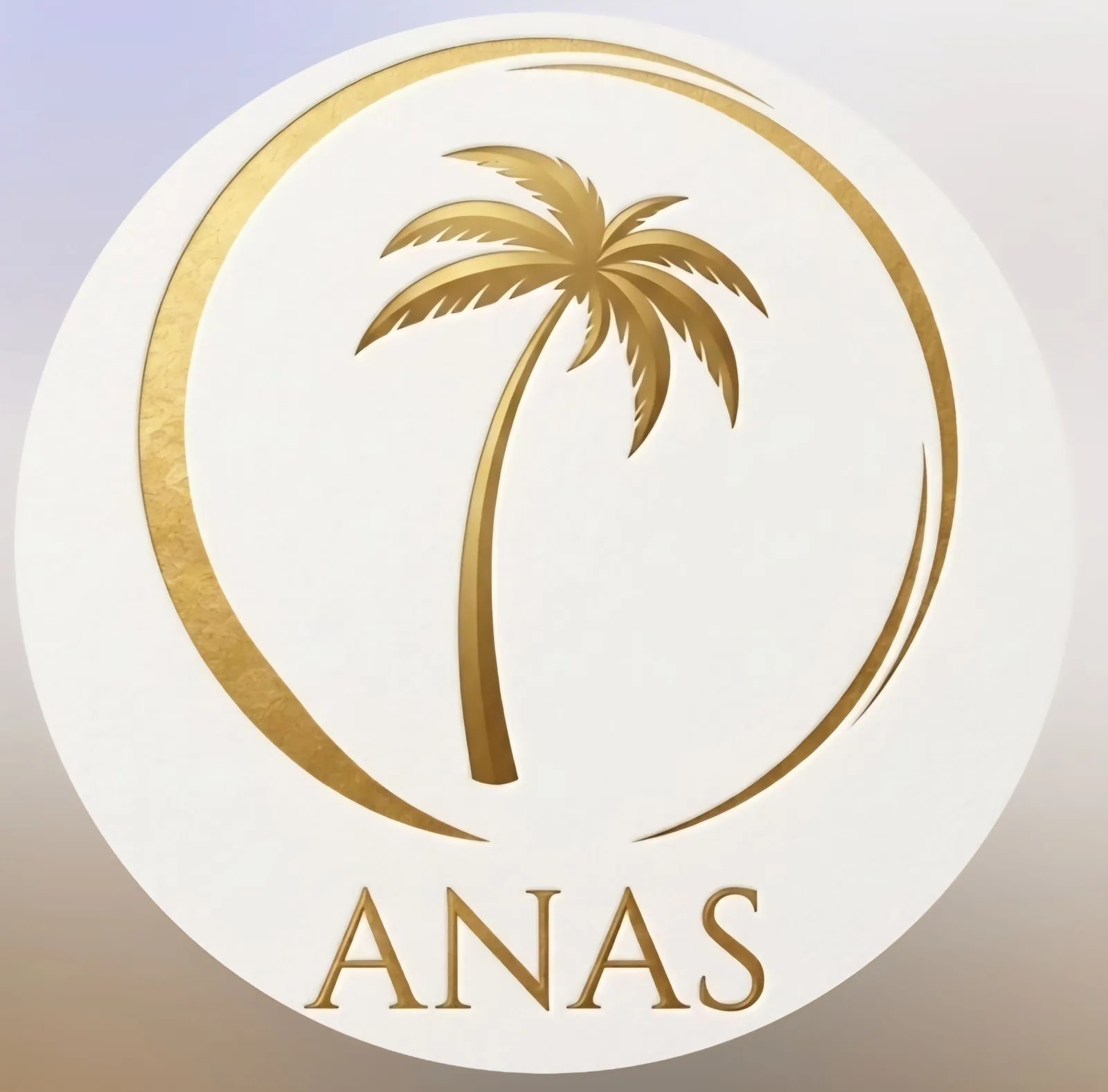 Logo Anas